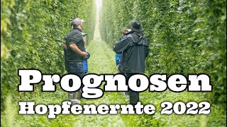 Prognosen Hopfenernte 2022 [upl. by Aven]