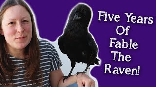 Fable the Raven  5 Year Anniversary [upl. by Sarat265]