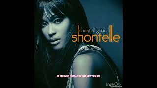 Shontelle  T Shirt Lyrics 8D AUDIO [upl. by Varian720]