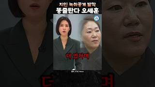 똥줄탄다 오세훈 지인녹취 공개 발칵강혜경 3300만원 더있다 [upl. by Ainoet]