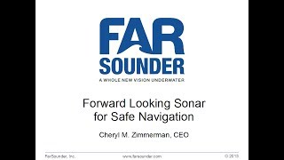 Forward Looking Sonar FLS for Safe Navigation [upl. by Eelyk409]