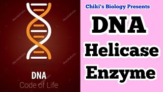 DNA Helicase Enzyme amp Its Function  Molecular biologyBy Chikis Biology [upl. by Lindsley730]