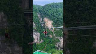 Zhangjiajie Grand Canyon Zipline fun is heartbeating zhangjiajie ChinaTravel zipline usa cafe [upl. by Aniahs]