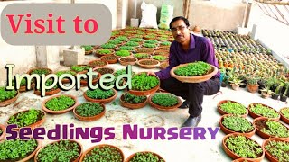 Visit to the Best Imported Seeds Seedlings Nursery in Kolkata [upl. by Andrej503]