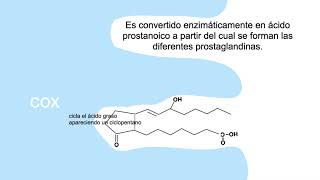 eicosanoides prostaglandinas [upl. by Ansel]