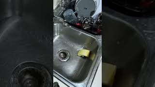 dishwash asmr dishwasher soap water cleaning cutlery householdchores kitchenchores [upl. by Kerad]