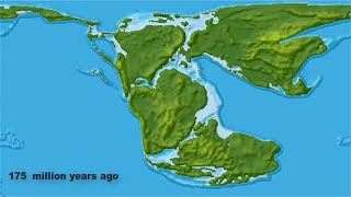 Continental Drift from Pangea to Today [upl. by Boutis151]