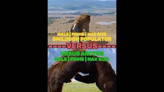 Sabertooth Vs Grizzly bear this is gonna make some ppl very mad [upl. by Bradway]