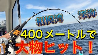 神奈川県の沖合にある深海海底谷４００メートル付近でイカを沈めたら何が釣れるのか！？【深海釣査】 [upl. by Coombs144]