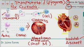 Cardiología  Fiebre reumatica [upl. by Dine]