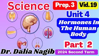 Science Prep 3 Unit 4 Hormones In The Human Body Part 2 ساينس تالتة اعدادى الترم الثانى [upl. by Anyak]