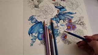 How To Develop An Artistic Style When Coloring In Adult Coloring Books [upl. by Ilat]