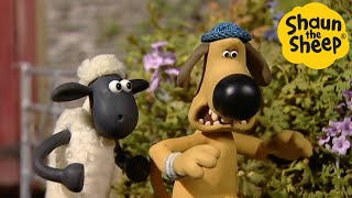 Shaun the Sheep 🐑 Time to sneak  Cartoons for Kids 🐑 Full Episodes Compilation 1 hour [upl. by Dimah]