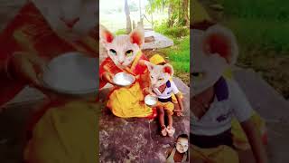 Lala lala Lori dudh ki katori cat cute funny cartoon comedy kitten catlover vedioedting [upl. by Karalynn]