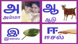 தமிழ் உயிரெழுத்துகள்Quiz1Lesson 15 RevisionTamil Alphabetsஅ ஆ இ ஈTamil learning [upl. by Kurtzig619]