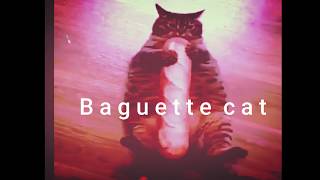 Baguette Cat meme [upl. by Asiel]