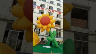 Custom Digital Inflatables Sunflowers for Stagedesign AdvertisingInflatable Decoration [upl. by Wichern]