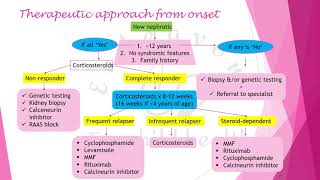 Nephrotic syndrome KDIGO 2020 guidelines [upl. by Gleeson527]