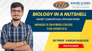 Mendels Dihybrid Cross for Genetics [upl. by Neroled]