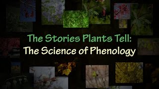 The Stories Plants Tell The Science of Phenology [upl. by Eelyrehc]