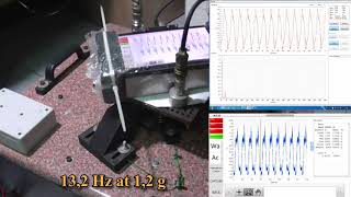 VMER Vibration test with IEC 6006826 [upl. by Laux964]