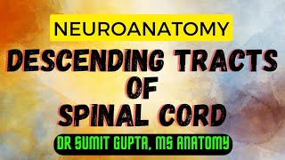 DESCENDING TRACTS OF SPINAL CORD  An overview [upl. by Bradski]