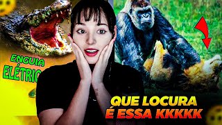 REAGINDO ao 🔴 Quando os Animais Escolhem o Oponente Errado  REACT Fala de Tudo [upl. by Anyah]