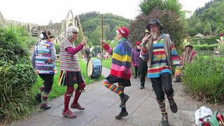 Wild Oats Morris only  Tintern amp Redbrook [upl. by Nelra381]