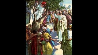 The Story Of Zacchaeus Jan 21 [upl. by Kazimir]