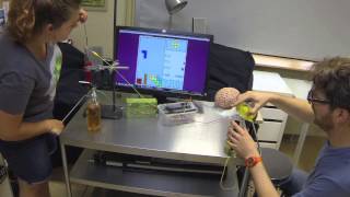 Tetris with MaKey MaKey and awesome Science Tools [upl. by Nnoved224]