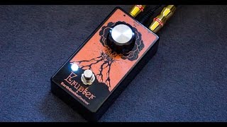 Earthquaker Devices  Erupter Fuzz [upl. by Leunamnauj]