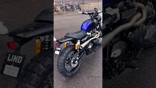 2024 Triumph T100 Custom Scrambler Hitchcox Full System Exhaust Sound triumph t100 customtriumph [upl. by Rebe]