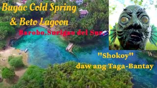 Bugac Cold Spring  Beto Lagoon  Barobo River  Barobo  Surigao del Sur  Support Local Tourism [upl. by Kulda]