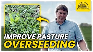 How to Improve Pasture Productivity Easily Overseeding the Red Field [upl. by Luaped]