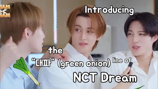 the quot대파quot line of NCT Dream [upl. by Nnylarak]