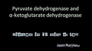 Pyruvate dehydrogenase and Alpha ketoglutarate dehydrogenase [upl. by Yluj131]