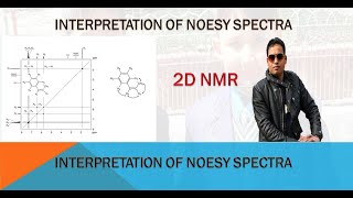 2D NMR NOESY NMR INTERPRETATION [upl. by Rustice]