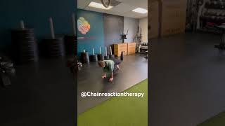 Quadruped bent knee hip extension [upl. by Nnyltak]