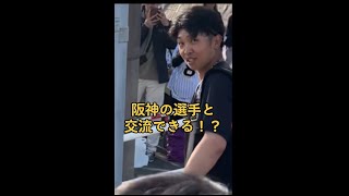 【サインのもらい方】阪神キャンプで選手と交流できるベストスポットをご紹介㊙️マナーを守って選手と交流しに行きましょう🤝 阪神秋季キャンプ 阪神タイガース 阪神ファン 高知県 安芸キャンプ [upl. by Kironde569]