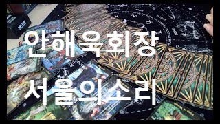 안해욱회장 쥴리의혹 구속영장  서울의소리 리딩채널내용을 도용하는것은 불법 이므로 금지 합니다 [upl. by Aenet]