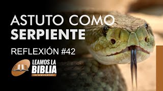 ASTUTO COMO SERPIENTE  Devocional 42  Leamos la Biblia [upl. by Nnaihs]