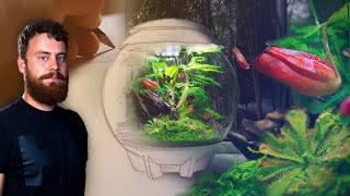 Creating a Stunning CARNIVOROUS PLANT Terrarium  Oase biOrb AIR 30 [upl. by Philipson]