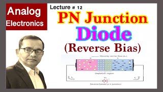 PN Junction Diode Reverse Bias in Hindi  TECH GURUKUL By Dinesh Arya [upl. by Yesnel970]