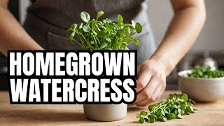 How to Grow Watercress at Home Easy [upl. by Nauqet]