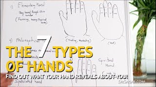 Palmistry  The 7 Types of Hands Elementary Conical Square Spiritual PhilosophicalSpatulated [upl. by Becket]