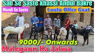 9000 Onwards Sab Se Saste Khassi Andul Goat In Malegaon  Bakra Mandi Looto Offer Bakri [upl. by Weldon]