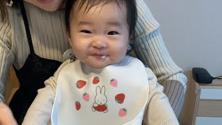 【離乳食ライブ1122】shorts 赤ちゃん 아기 baby newborn শিশু sayang बच्चा bebé newbornbaby bambina vlogs [upl. by Lonee331]