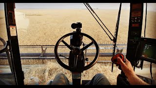 🔴Live First Harvest Livestream 2018  Welker Farms Inc [upl. by Saint]