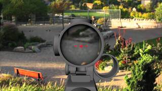 1st Person Rifle Scope to Red Dot sight picture transition concept test [upl. by Akinehc]