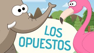 Canción de los opuestos  Canciones Infantiles  Toobys [upl. by Winifield]